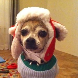 Meet your Posher, Lesley